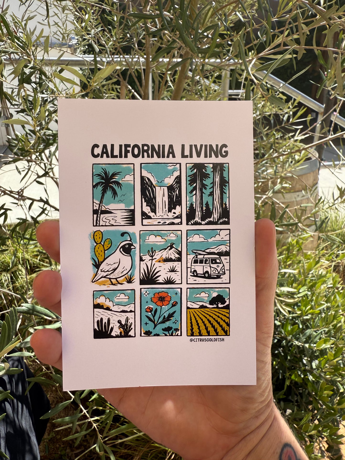 California Living Art Print 4”x6”