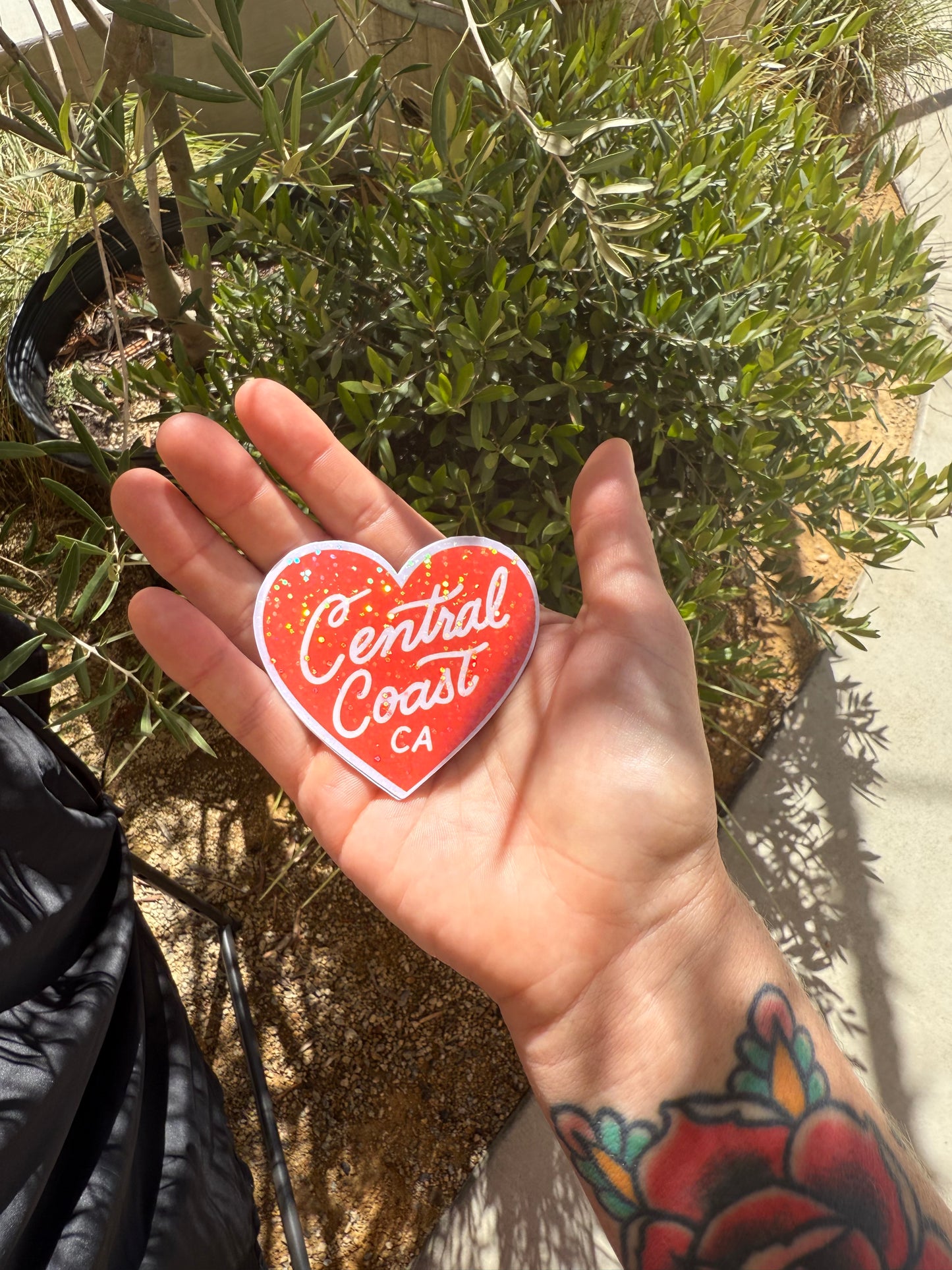 Central Coast CA Love-3" vinyl sticker